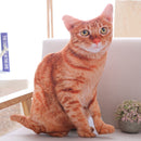 LREA 50cm 3D The simulation cat Cushion COVER Sofa /seat/bed/car /hotel Home Decoration Pillow case Covers
