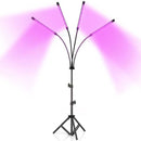 Phyto Lamp Timer Full Spectrum USB Grow Light Lamp For Plants Full Spactrum Lights For Plants Garden Flowers Herbs Grow Box