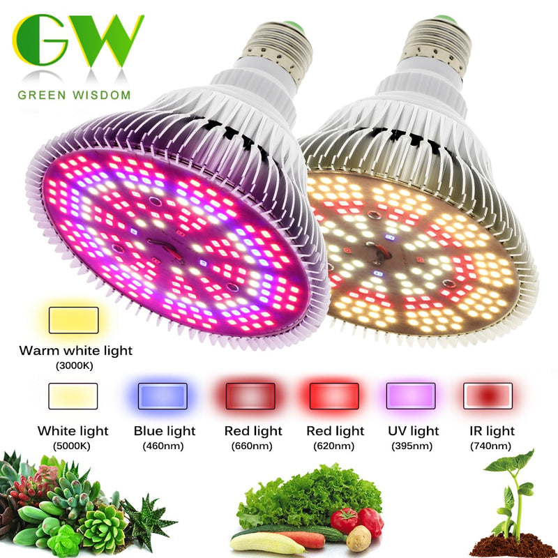 250W LED Grow Glühbirne E27 LED Pflanzenbirne 200 LEDs Sunlike Vollspektrum Grow Lights für Zimmerpflanzen Gemüse und Setzling