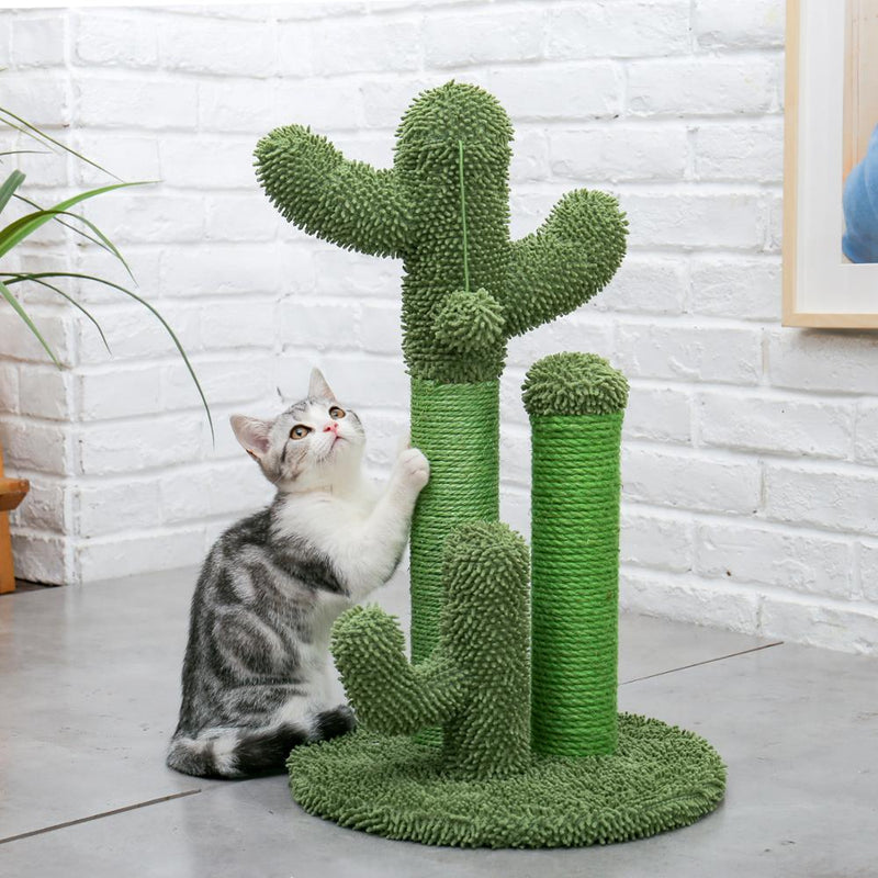 Casa de árbol de gato estilo Cactus de 2 tamaños, postes de escalada para gatos, gatitos, divertido juguete de salto, casa de gatos, rascador gato