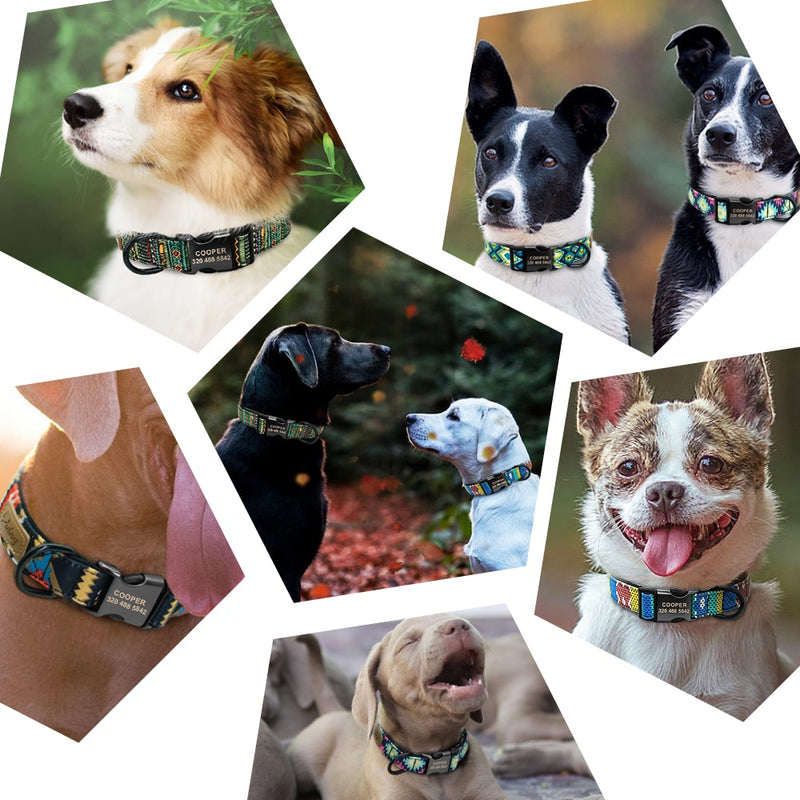 Collar personalizado para perro, correa personalizada para cachorro, Collar para mascota, collares Pitbull, producto para mascotas, Collar pequeño para perro pequeño, mediano y grande