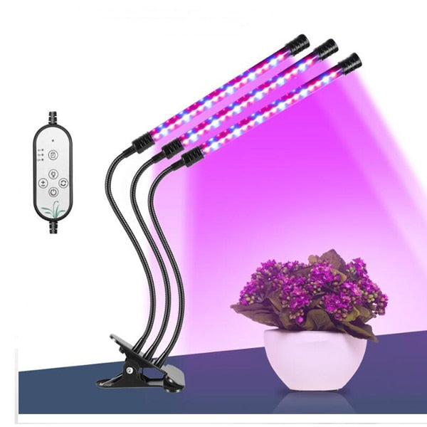 Phyto Lamp Timer Full Spectrum USB Grow Light Lamp For Plants Full Spactrum Lights For Plants Garden Flowers Herbs Grow Box