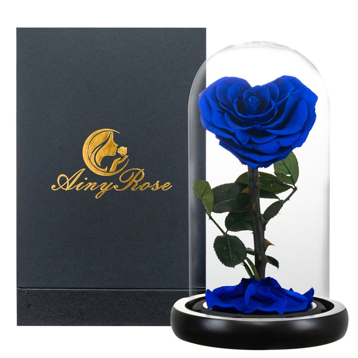 Eternal Preserved Roses In Glass Dome 5 Flower Heads Rose Forever Love Wedding Favor Mothers Day Gifts for Women Girlfriends