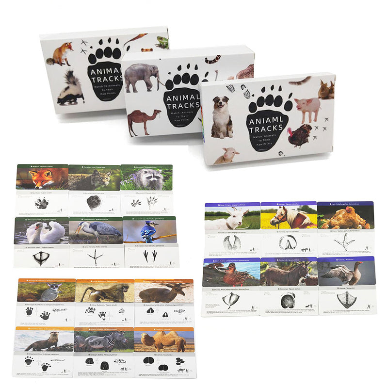 72PCS Montessori Flash Cards Animals  Footprints Montessori English Learn Card Early Educational Toy Memory Game for Children