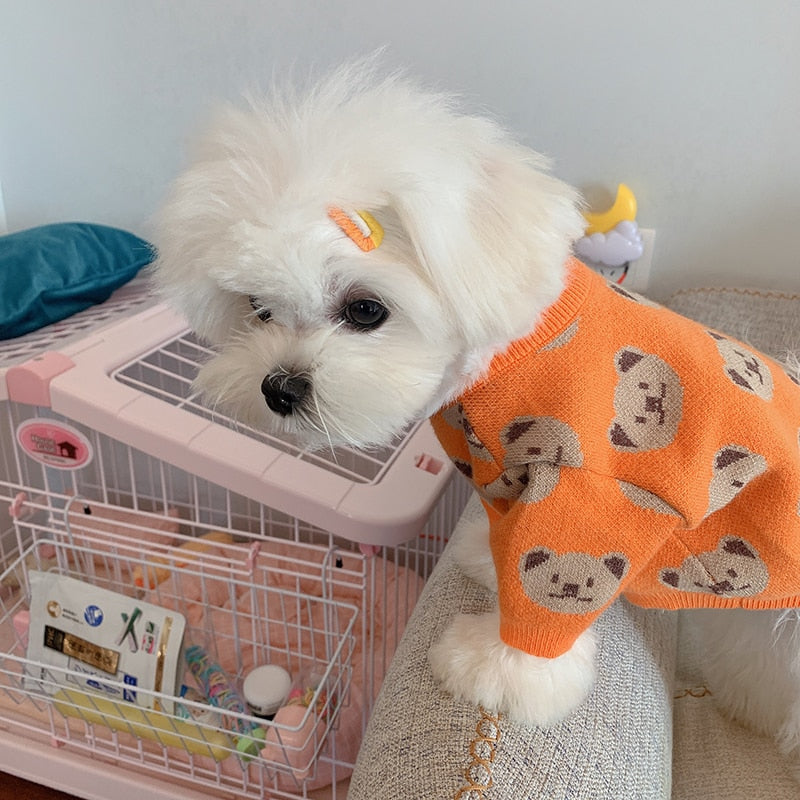 Suéteres para perros de oso Kawaii, ropa para perros naranja, suéter para Chihuahua, Sudadera con capucha de Pomerania, ropa para perros de estilo coreano de invierno, disfraces para mascotas