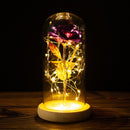 LED Enchanted Galaxy Rose Eternal 24K Gold Foil Flower con cadena de luces en cúpula para decoración del hogar Navidad regalo del Día de San Valentín