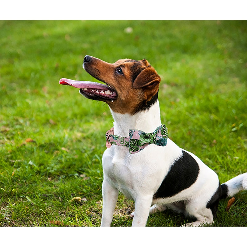 Juego de Collar y correa para perro de hoja verde con pajarita Personal personalizado ajustable mascota cachorro 100% algodón perro regalo de cumpleaños