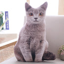 LREA 50cm 3D The simulation cat Cushion COVER Sofa /seat/bed/car /hotel Home Decoration Pillow case Covers