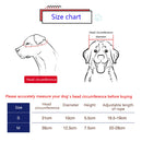 Funny Pet Hat Dog Helmet Motorcycle ABS Cap For Small Medium Dogs Cats French Bulldog Summer Accessories Birthday Party Costumes