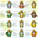 Pure Essential Oils 15pcs Geschenkset Natürliches Pflanzenaroma Ätherisches Öl Diffusor Eukalyptus Vanille Minze Lavendel Rose Teebaumöl