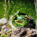 Decoración de Halloween, estatua de huevo de dinosaurio, huevo de dragón de Lava, colección Ornamental de resina, cristal Minerale, piedras preciosas, Reiki, decoración del hogar