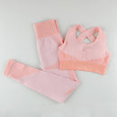 Seamless Women Set Women Sports Gym Suits Fitness Sport Long Sleeve Women Clothing