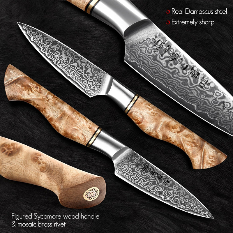 HEZHEN 3.5 inch Paring Knife Real 67 Layer Damascus Super Steel Cook Knife Super anti rust Sharp Blade Fruit Kitchen Knife