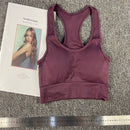 Traje de Yoga sin costuras para mujer, conjunto deportivo de entrenamiento de alta elasticidad, Sujetador deportivo acolchado, mallas deportivas de cintura alta para gimnasio