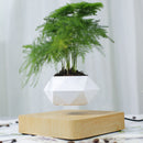 Flotante Geométrica Magnética Levitando Maceta Bonsai Humidificador creativo Maceta de riego automático Decoración de escritorio de oficina en casa DHL