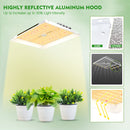 Mars Hydro TS 1000W Grow Kits Combo with Indoor Grow Tent Full Spectrum Best for Hydro Plant Veg Flower