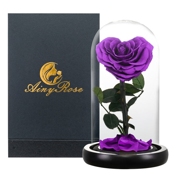 Eternal Preserved Roses In Glass Dome 5 Flower Heads Rose Forever Love Wedding Favor Mothers Day Gifts for Women Girlfriends