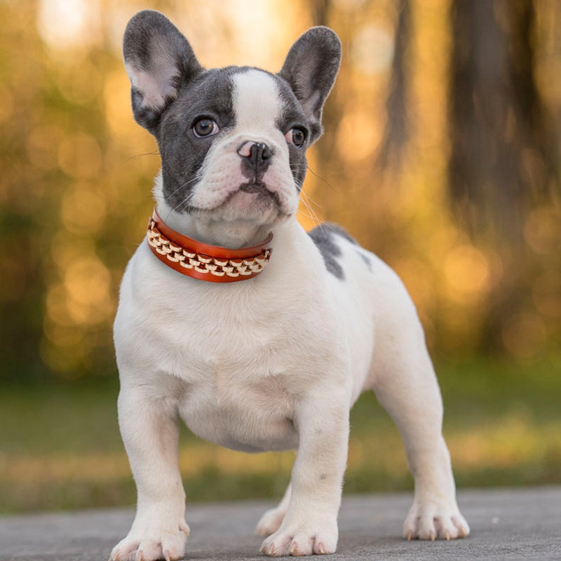 Collar de cuero para perro, collares duraderos de cuero auténtico para perros, diamantes de imitación brillantes, accesorios de Metal para perros pequeños y medianos