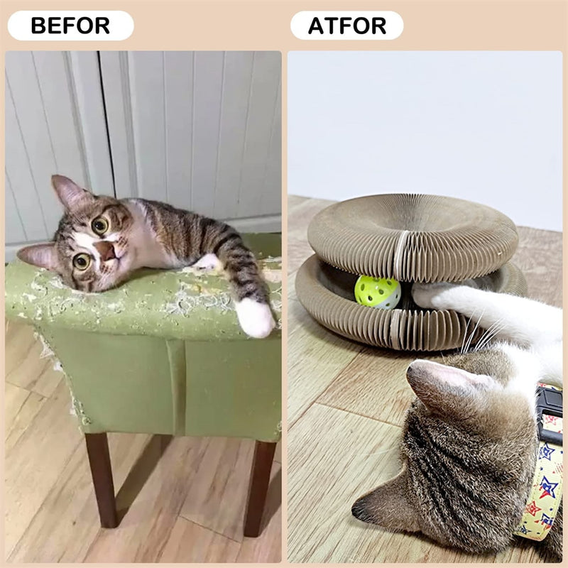 Magic Cat Scratch Organ Board Cat Toy with Ball Cat Grinding Claw Cat Climbing Frame Kitten Cat Scratching Toy dropshipping