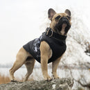Ropa cálida de invierno para perros pequeños, ropa para mascotas, atuendo para cachorros, chaqueta para perros a prueba de viento, abrigo para Chihuahua, Bulldog francés, chaleco Yorkies
