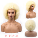 Synthetic Afro Wig Short Fluffy Hair Wigs for Black Women Kinky Curly Hair for Party Dance Cosplay Wigs with Bangs