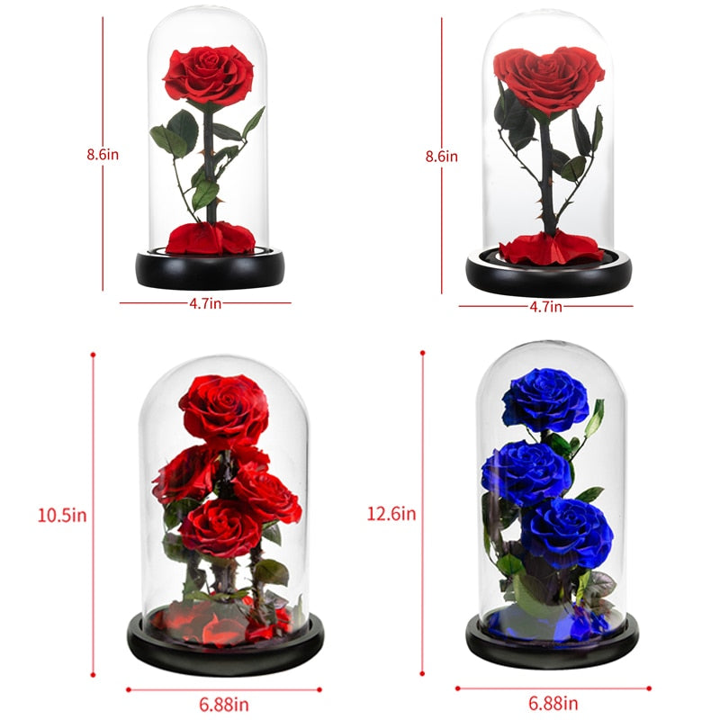 Eternal Preserved Roses In Glass Dome 5 Flower Heads Rose Forever Love Wedding Favor Mothers Day Gifts for Women Girlfriends