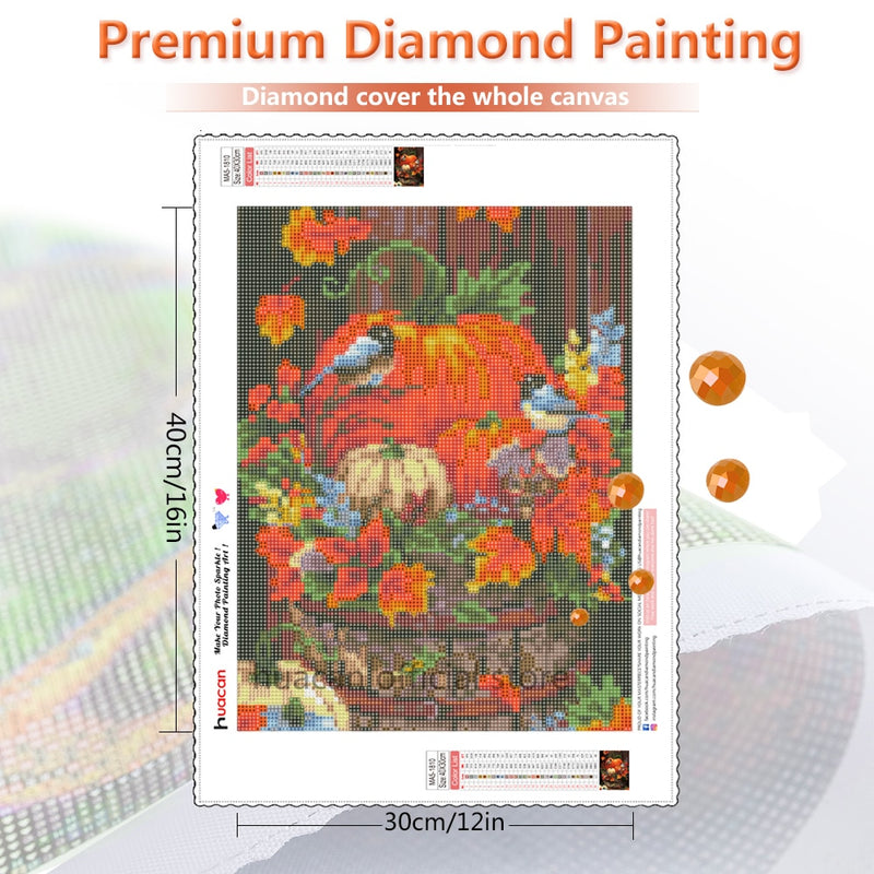 HUACAN completo cuadrado diamante pintura Kit pájaro bordado diamante mosaico venta Halloween Rhinestone imagen