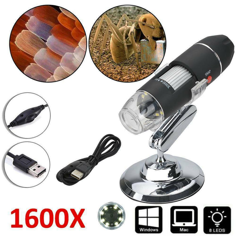 |<none>|3256803657276789