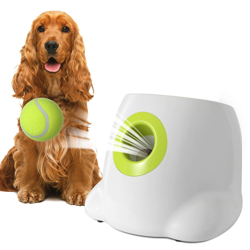 Hundeball Automatischer Tenniswerfer Haustierhunde jagen Spielzeug Mini-Tennis-Wurf-Flipper-Maschinen-Spaß interaktiv