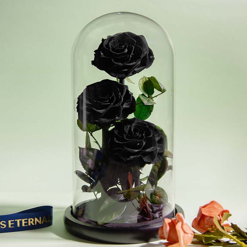 Eternal Preserved Roses In Glass Dome 5 Flower Heads Rose Forever Love Wedding Favor Mothers Day Gifts for Women Girlfriends