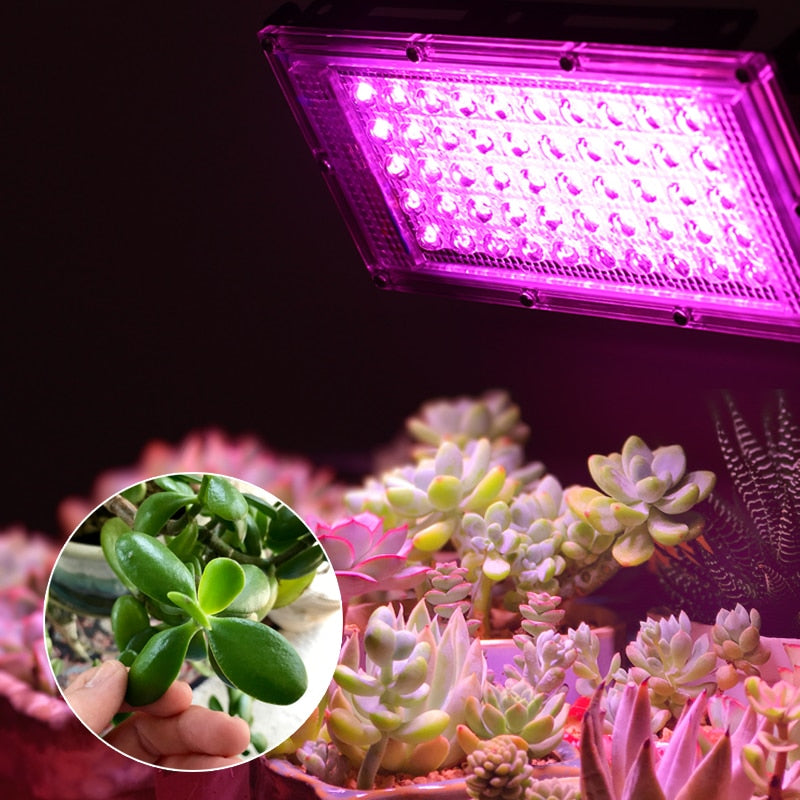 2 uds 50W 100W reflector LED foco LED 220V LED crece la luz PhytoLamp farola lámpara de espectro completo para lámpara de crecimiento de plantas