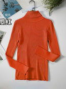 2022 Basic Turtleneck Women Sweaters Autumn Winter Thick Warm Pullover Slim Tops Ribbed Knitted Sweater Jumper Soft Pull Female