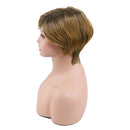 Amir Synthetic Brown Wig Short blonde Wigs Natural Wave Haircut Puffy Straight Hair Wigs for American Africa Women