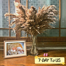20 tallos Pompous Pampas-Grass Pampass secas Plantas Fluffy Pompas Grasses Small Pompus Short Boho Decor Longitud total 21 pulgadas / 55 cm