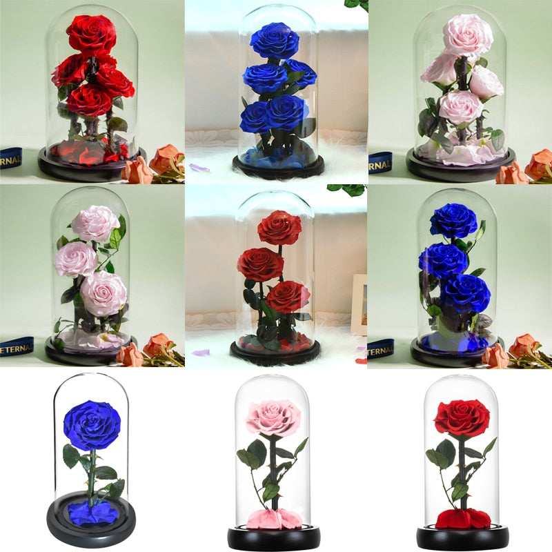 Eternal Preserved Roses In Glass Dome 5 Flower Heads Rose Forever Love Wedding Favor Mothers Day Gifts for Women Girlfriends