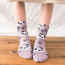 Nuevos calcetines con estampado de animales Kawaii, calcetines bonitos de estilo coreano para mujer, calcetines de algodón con dibujo de gato y Panda para mujer y niña, calcetines meias mulher skarpety sox