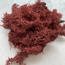 High Quality Artificial Green Plant Immortal Fake Flower Moss Grass Home Living Room Decorative Wall DIY Flower Mini Accessories