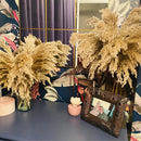 20 tallos Pompous Pampas-Grass Pampass secas Plantas Fluffy Pompas Grasses Small Pompus Short Boho Decor Longitud total 21 pulgadas / 55 cm