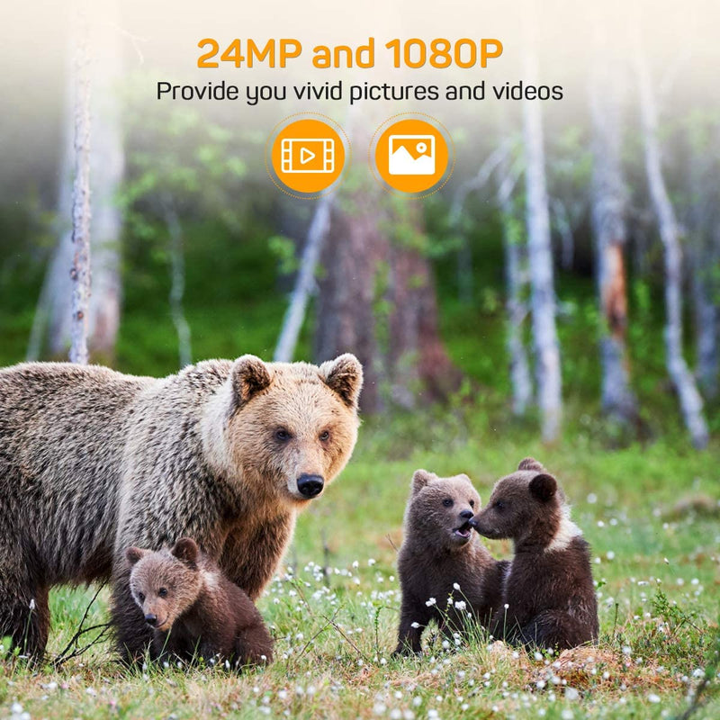 24MP 1080P Video  Wildlife Trail Camera Photo Trap Infrared Hunting Cameras HC802A Wildlife Wireless Surveillance Tracking Cams