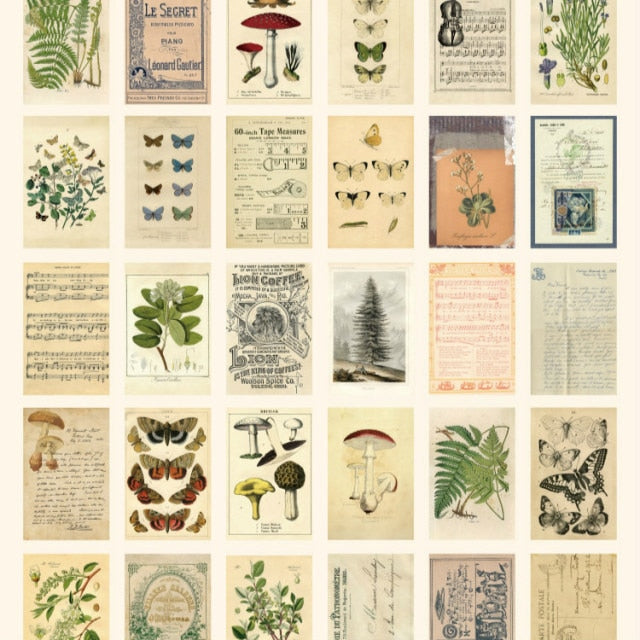 Mr.Paper 30pcs/box Ancient Forest Animals Plants Specimen Postcard Vintage Retro Style Creative Writing Greeting Gift Postcards