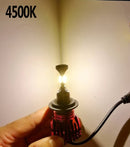 BAGELED CSP Car Headlight H4 H7 LED 3000K 4300K 6500K 8000K H1 H3 H8 H9 H11 9005 9006 HB3 HB4 880 881 LED Bulb Auto Fog  Light