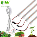 LED Grow Light 220V 110V Full Spectrum LED Lamp for Plants High Luminous Efficiency Phytolamp for Seedlings Greenhouse Grow Tent