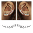 REETI New High Quality Super Shiny Zircon 925 Sterling Silver  Earring for Women Jewelry Wholesale Gift Ear row