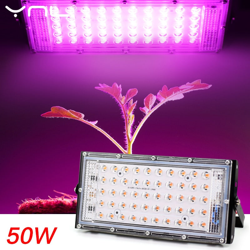 Lámpara LED de cultivo Phyto AC 220V 50W, reflector LED de espectro completo, foco para plantas hidropónicas de invernadero para interiores y exteriores
