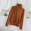 Turtleneck Women Sweaters 2020 Autumn Winter Sweater Knitted Pullover Long Sleeve Woman Sweaters Tops Soft Jumper Pull Femme