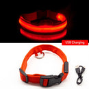 Collar de perro Led con carga USB, Collar antipérdida/para evitar accidentes de coche para perros, cachorros, collares para perros, suministros LED, productos para mascotas