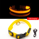 Collar de perro Led con carga USB, Collar antipérdida/para evitar accidentes de coche para perros, cachorros, collares para perros, suministros LED, productos para mascotas
