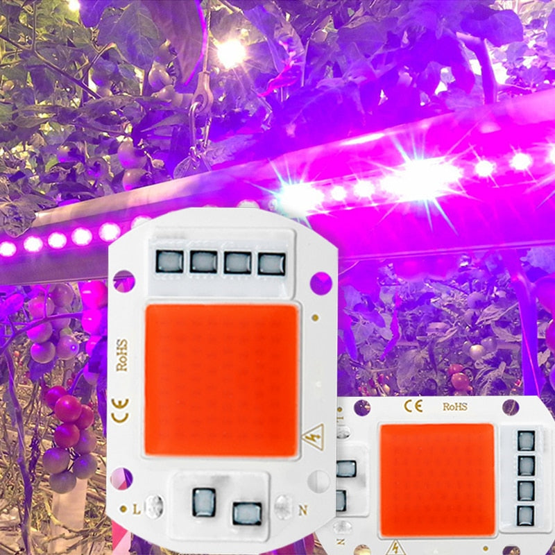 LED Grow Light Full Spectrum COB LED Chip AC 110V 220V No necesita controlador Phyto Lamp para plantas de interior Lámpara de cultivo de plántulas