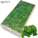 20/40g plantas verdes artificiales vida eterna musgo hierba hogar sala de estar jardín decoración Mini paisaje flor falsa manualidades DIY