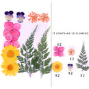 Kleine echte getrocknete Blumen, natürliche Trockenpflanzen für Kerzen, Epoxidharz, Anhänger, Halskette, Schmuckherstellung, Handwerk, DIY Accessori